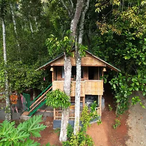 Maison d'hôtes Fab - Bamboo Hut With Open Shower, Munnar